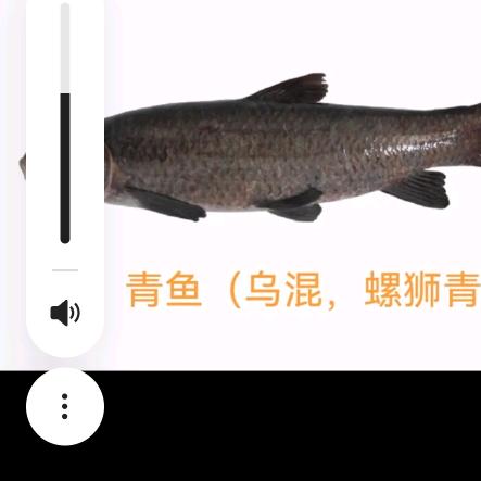 周氏水产行