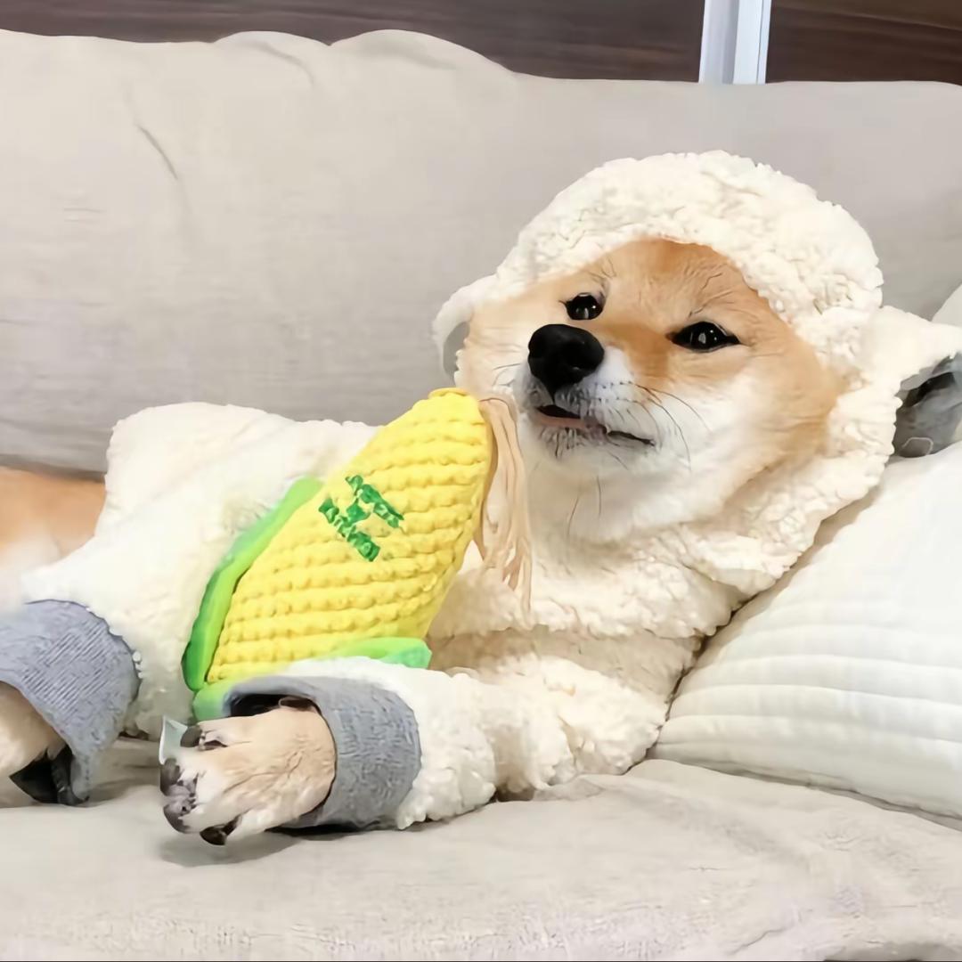 少⁷一点