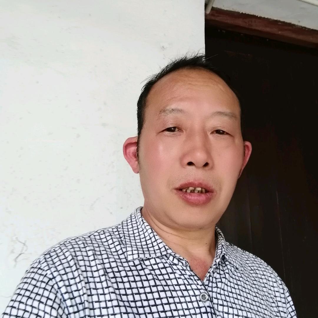 杨哥