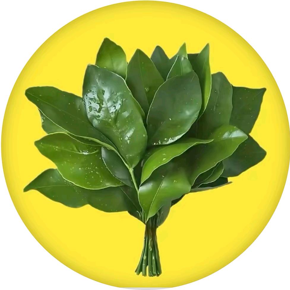 宸瑞