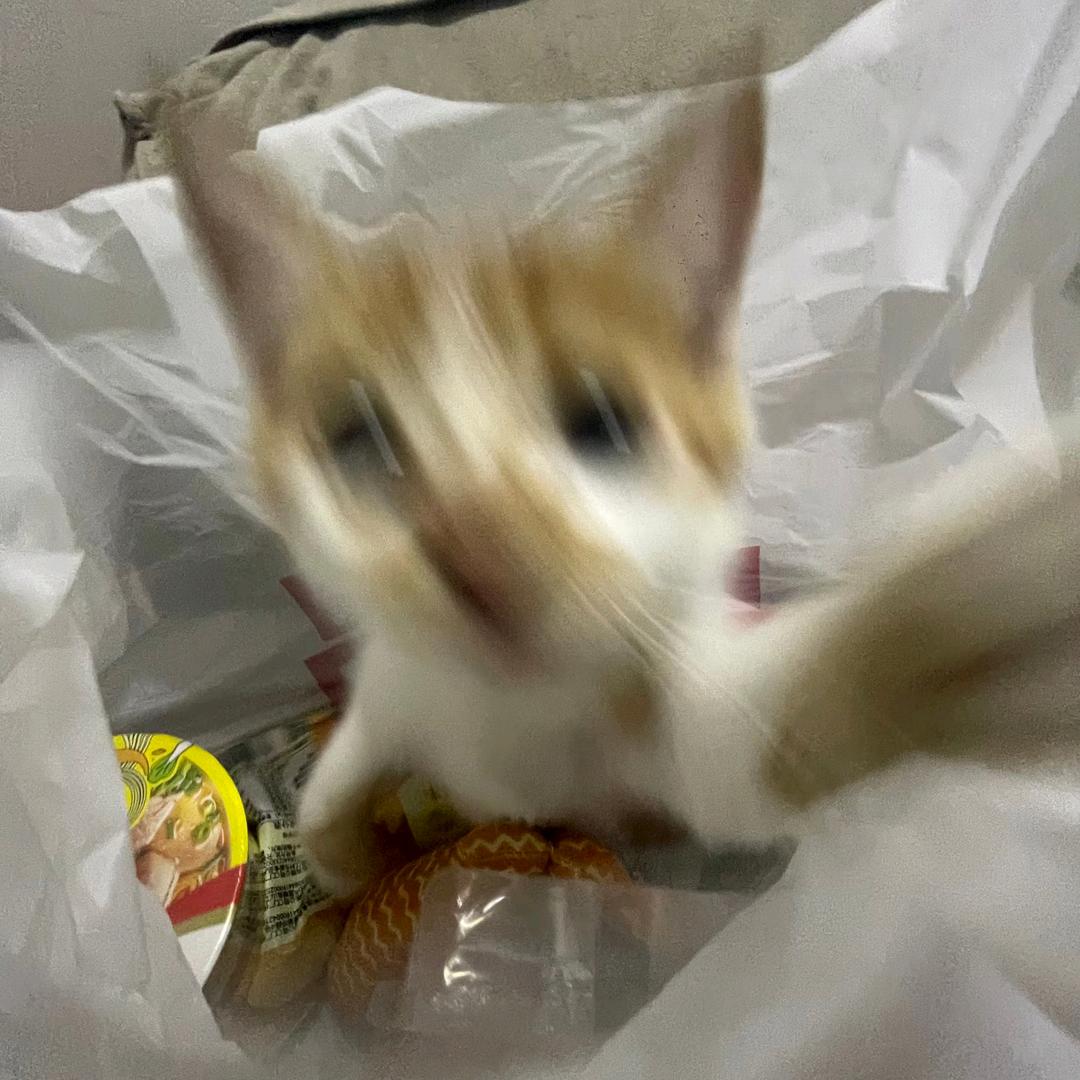 郑大力