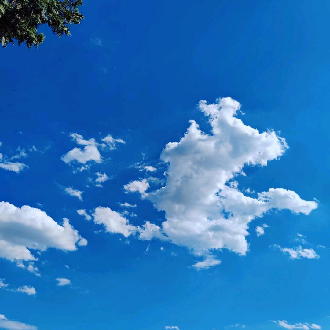 万水千山总是情
