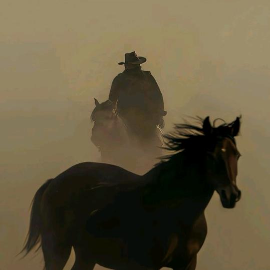 猪牛羊产品～电商代加工