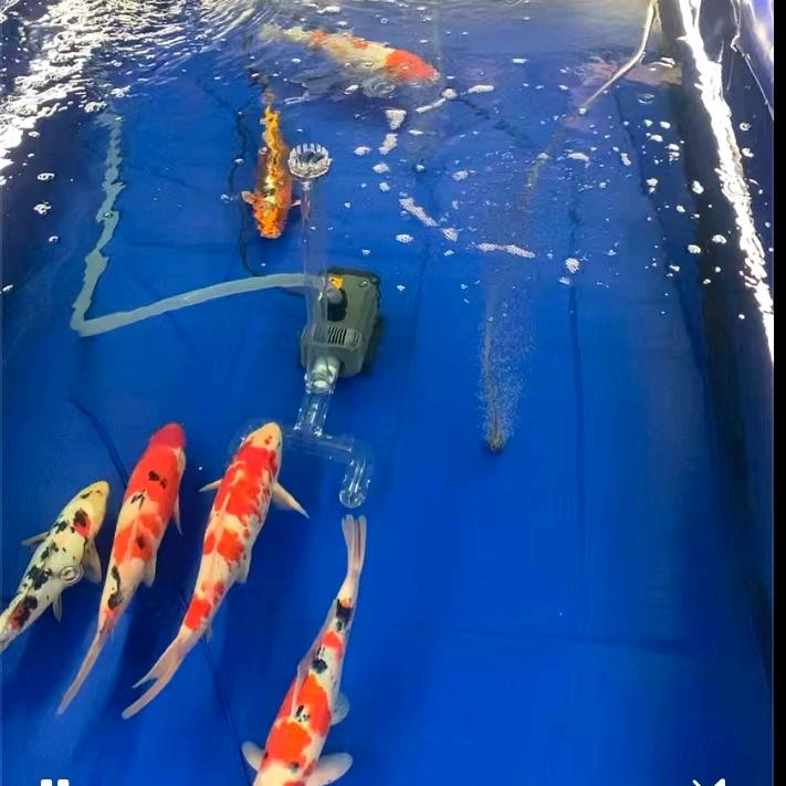 卓鑫新材料