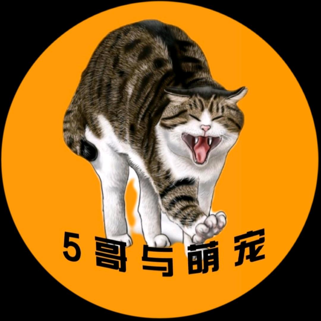 5哥与萌宠