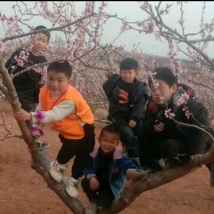 美丽人生！