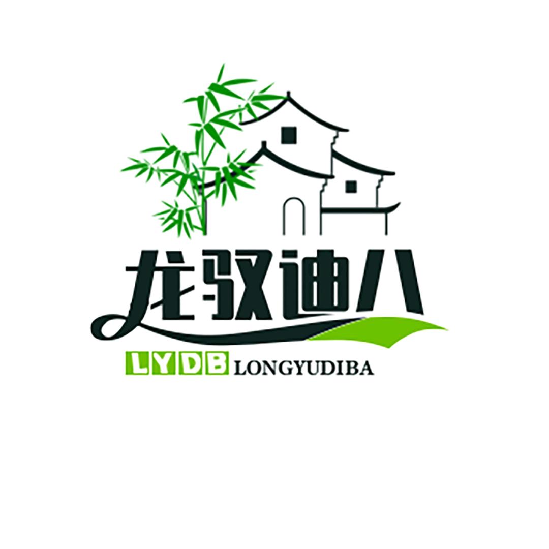 龙驭迪八