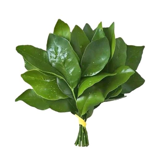 烬