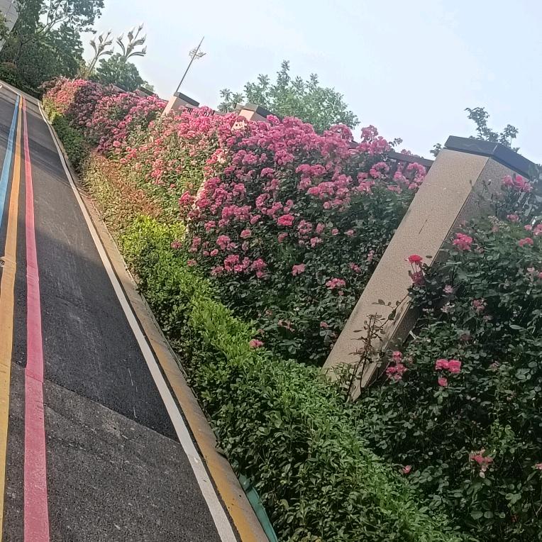平安幸福