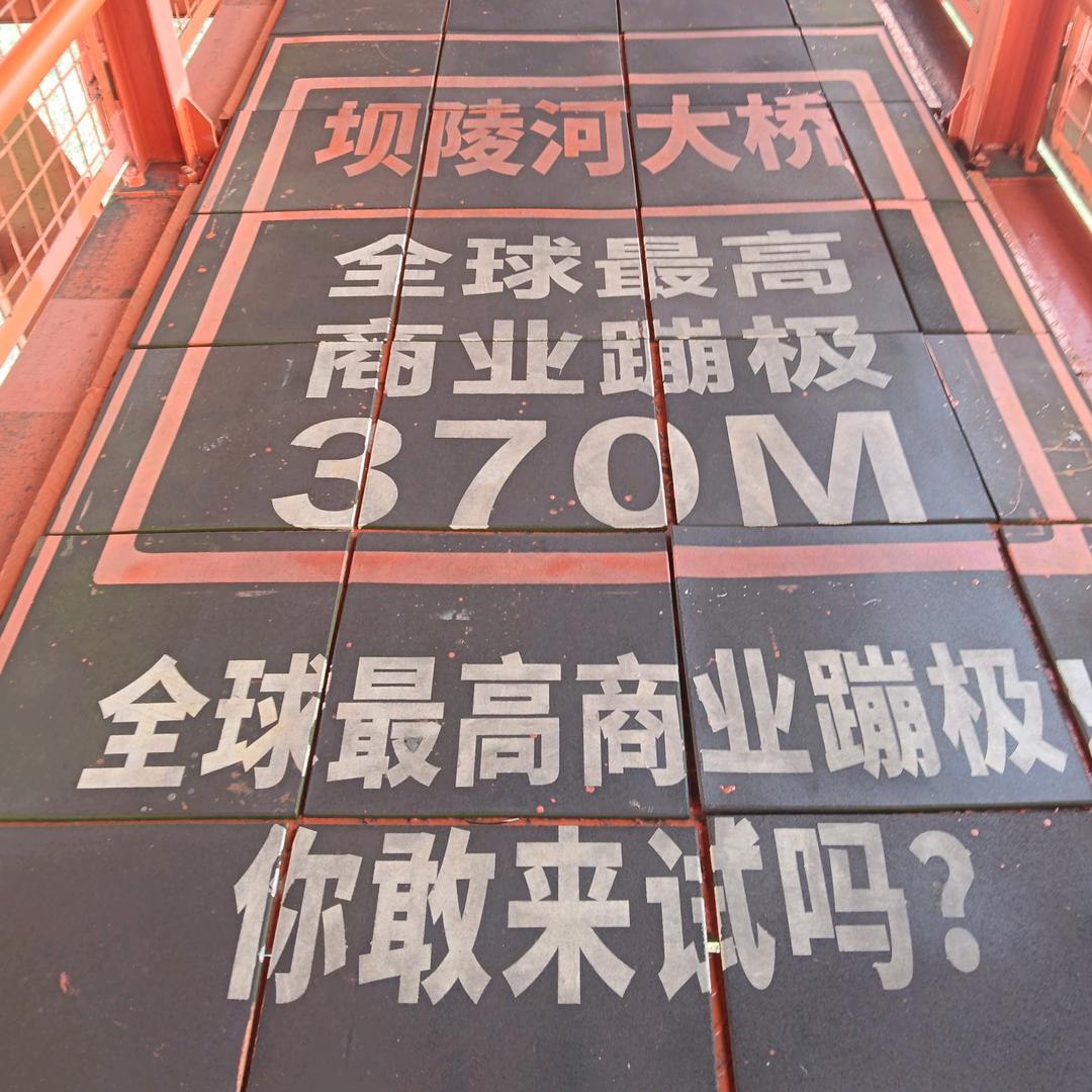 蹦极小潘