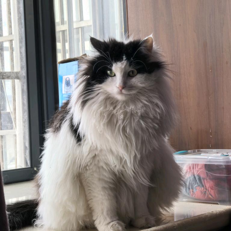 长温（三角洲行动）