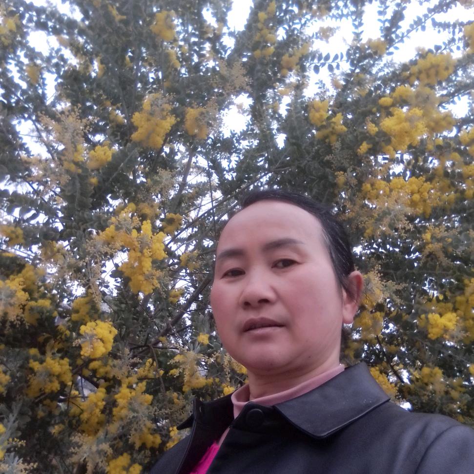 天天开心。