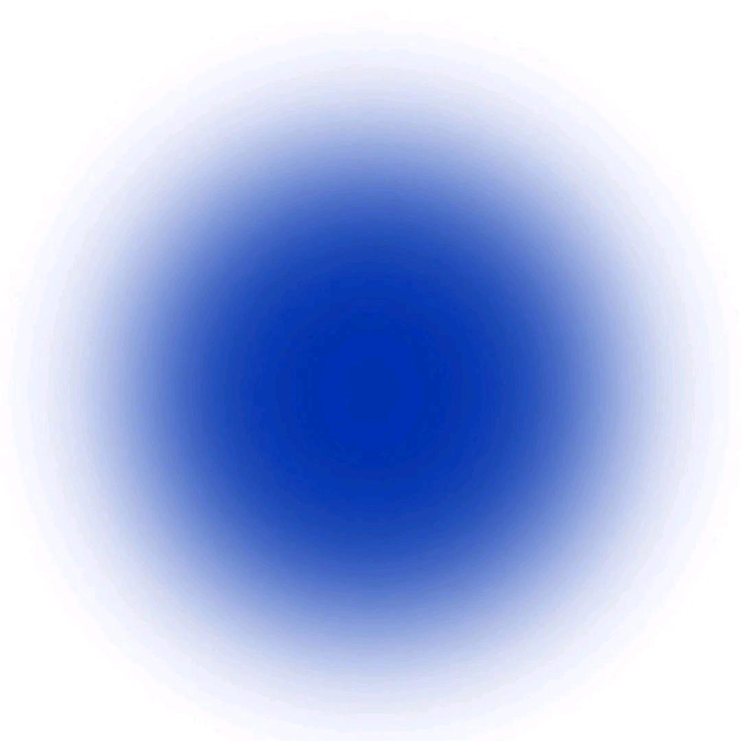 Leo·Z