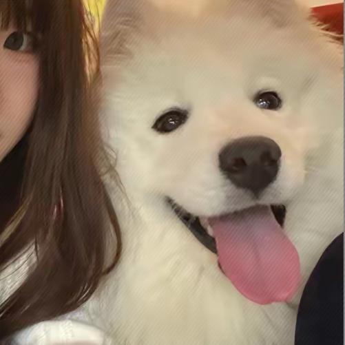 玄骨
