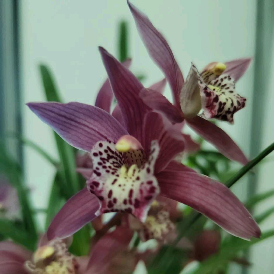 女装鞋材质量好，出货快，