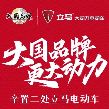 辛置二处立马电动旗航店
