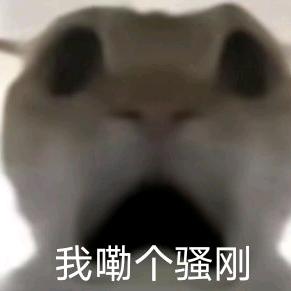 闸总(三角洲行动)