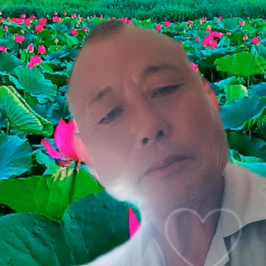 养斗鸡的小老头