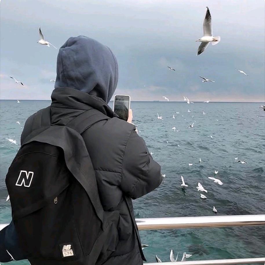 孤独的豆腐皮儿