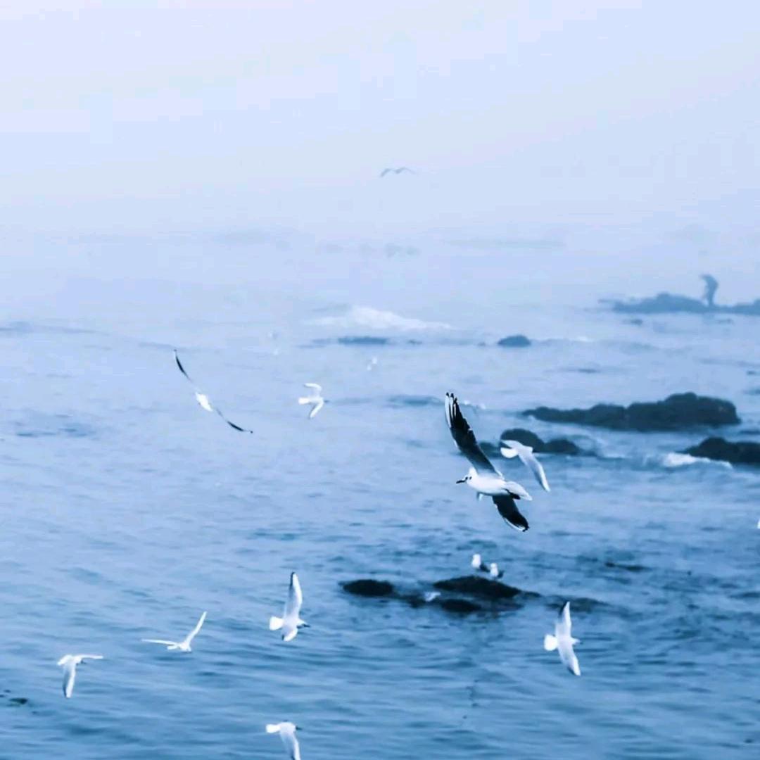 土家汉子腰杆硬