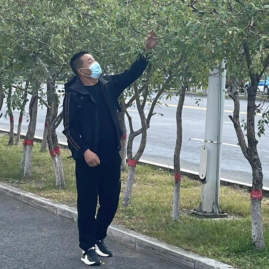 一生好运