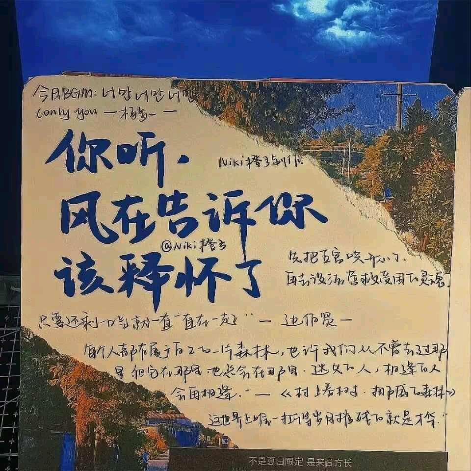 🌈显眼包小宸🔨