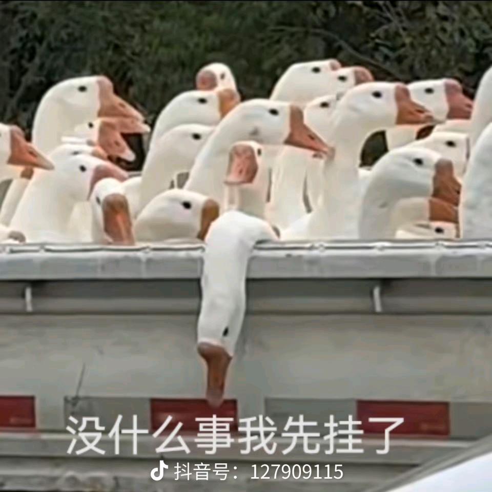 路人炳