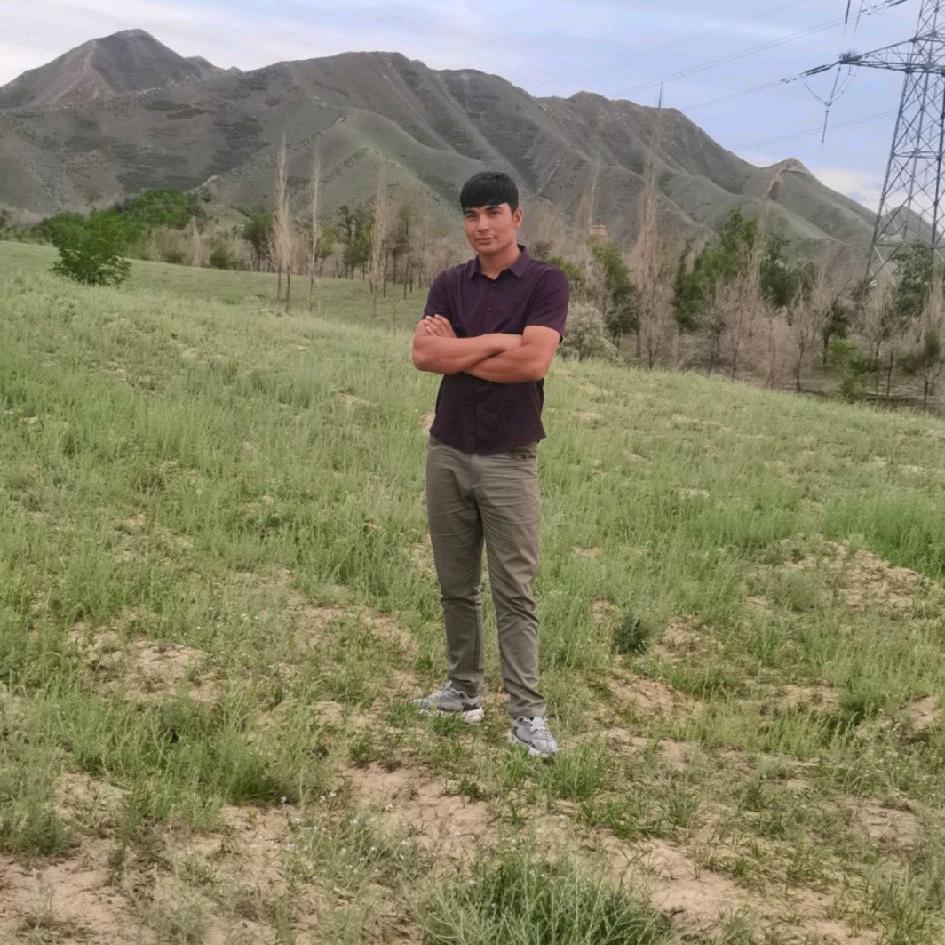 太白松家用电器店