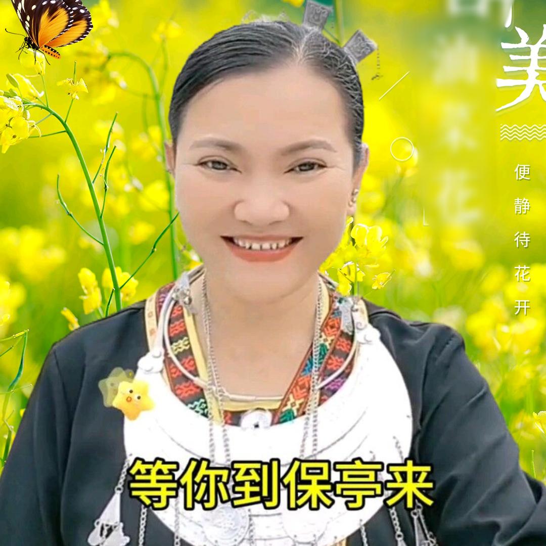 保亭石三姐（单亲虎妈）