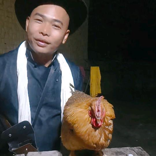 广西石龙偷狗强