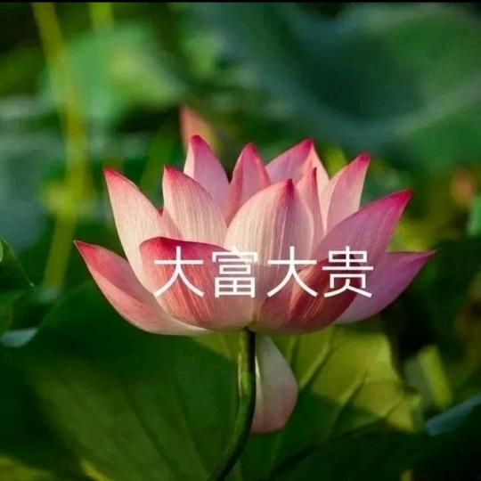 明天你好，，，，