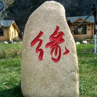 王哥在线🤝