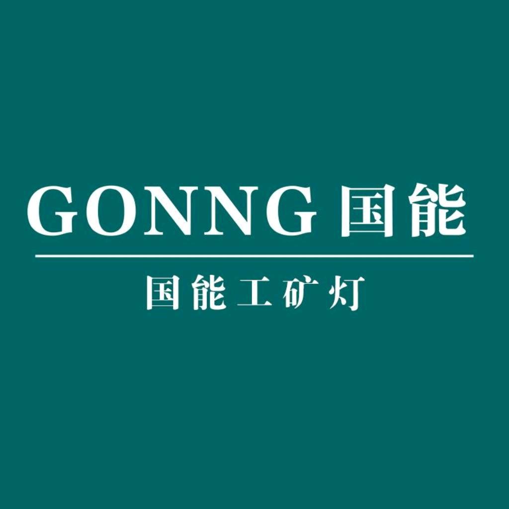国能照明甄选店