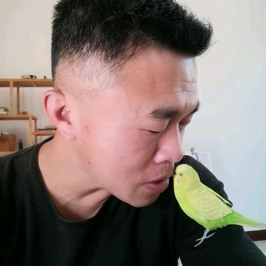 南方乙木