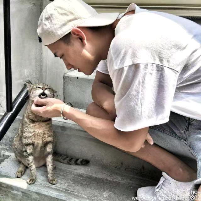 安河桥北..