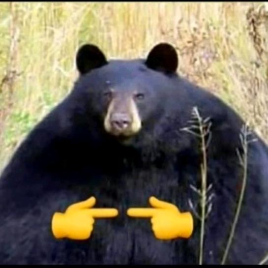 拿来吧你