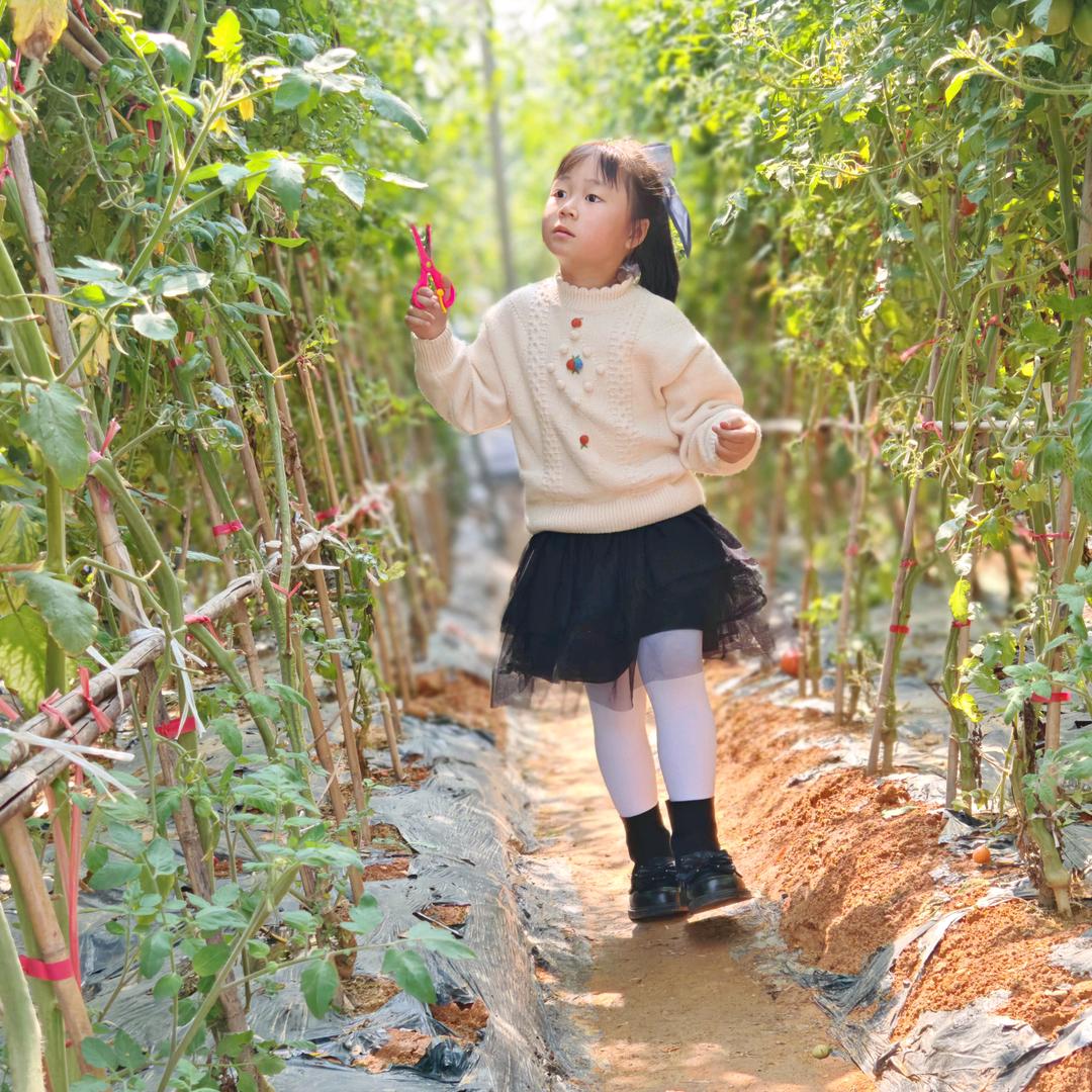 彤宝