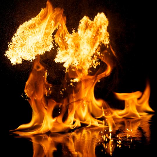 🔥🔥八八响火🔥🔥