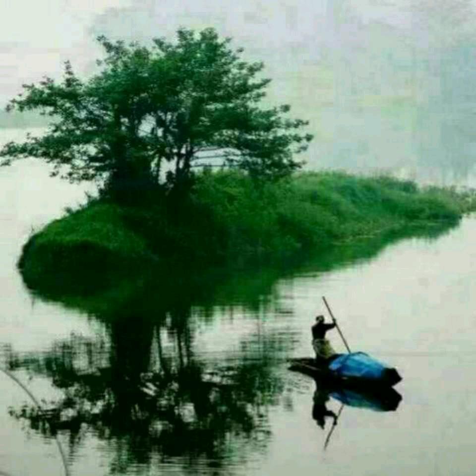 被丢在半路上的猪🐖