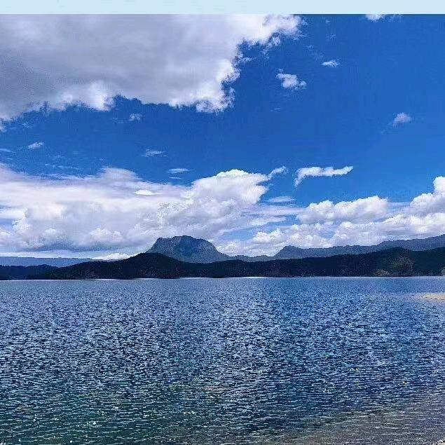 阿离ฅ՞•ﻌ•՞ฅ