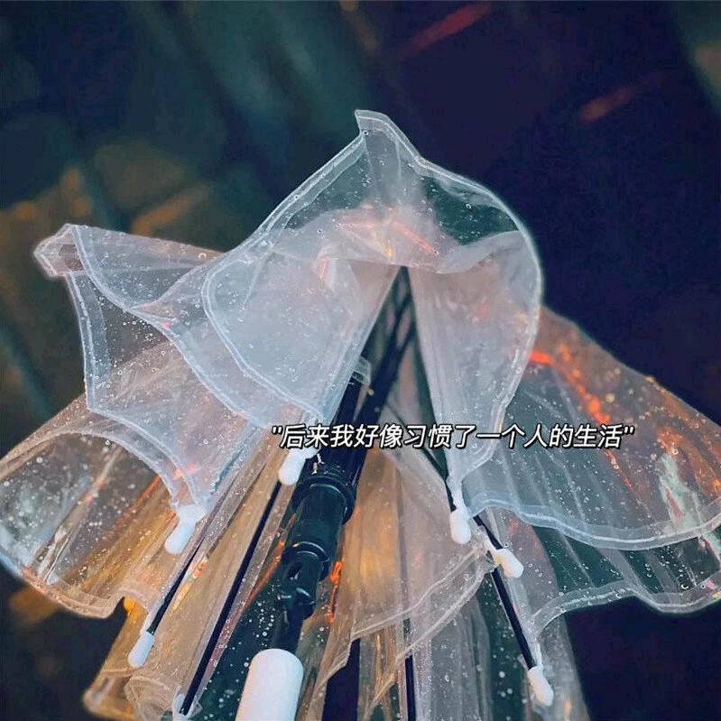 是泡芙小姐呀