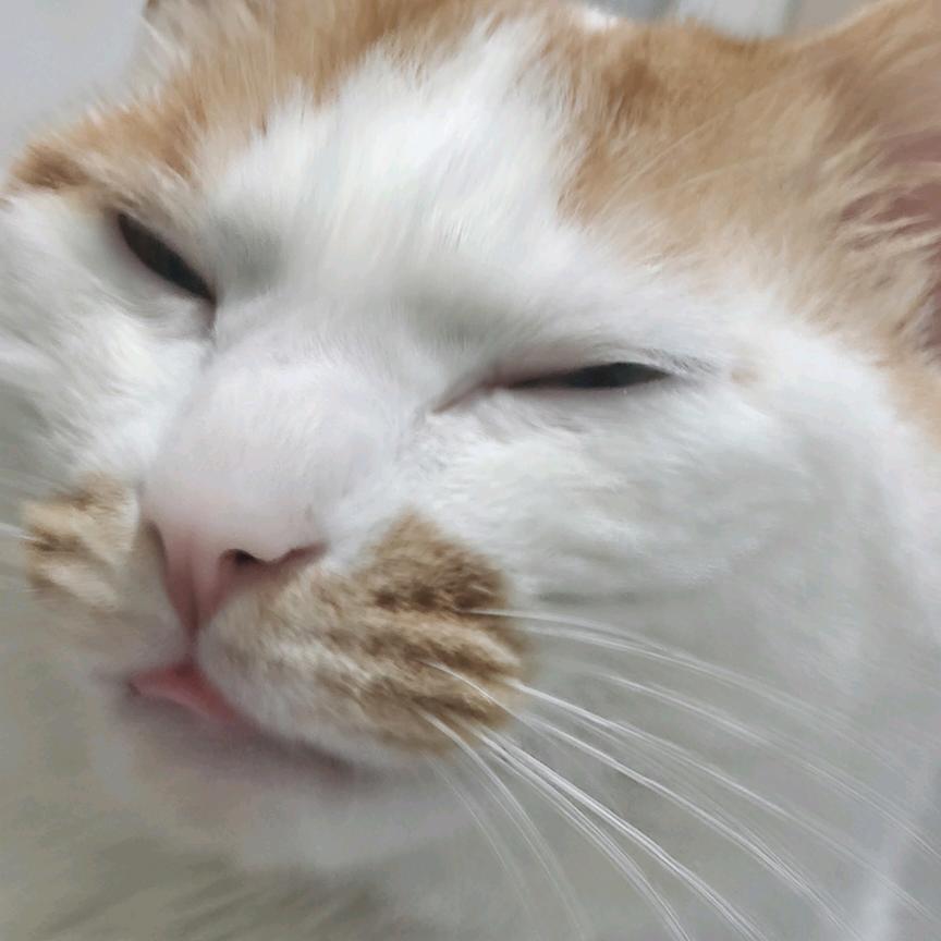 渝灰.