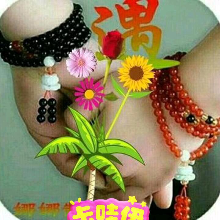 ♥(｡￫㞮孞v￩｡)♥