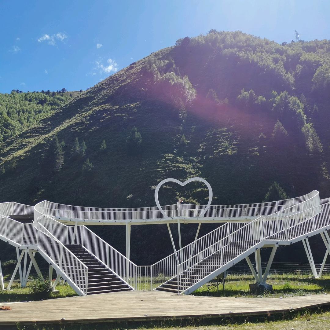 阿丽