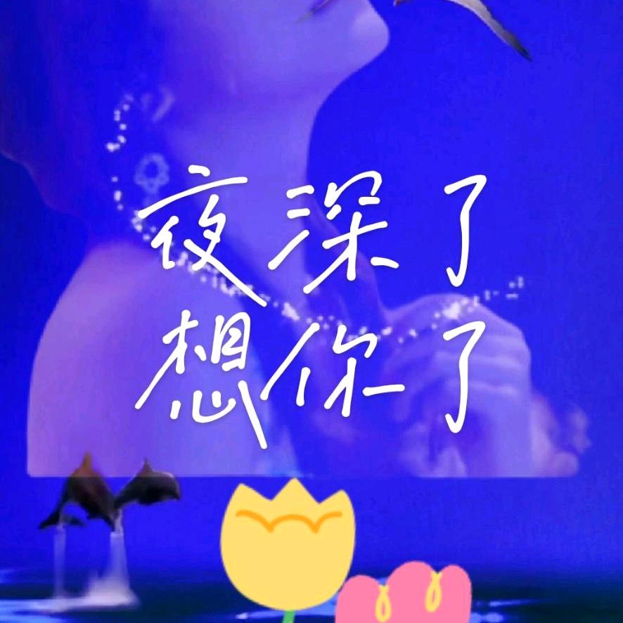 真心相爱