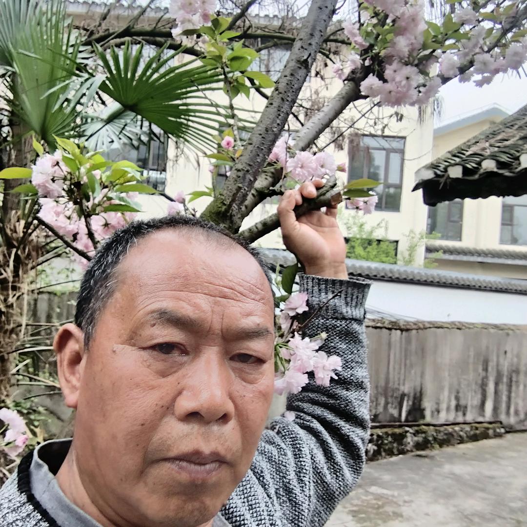 彬彬有礼。