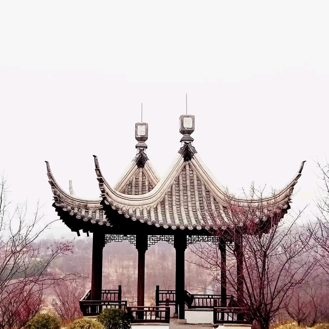 风凰于飞