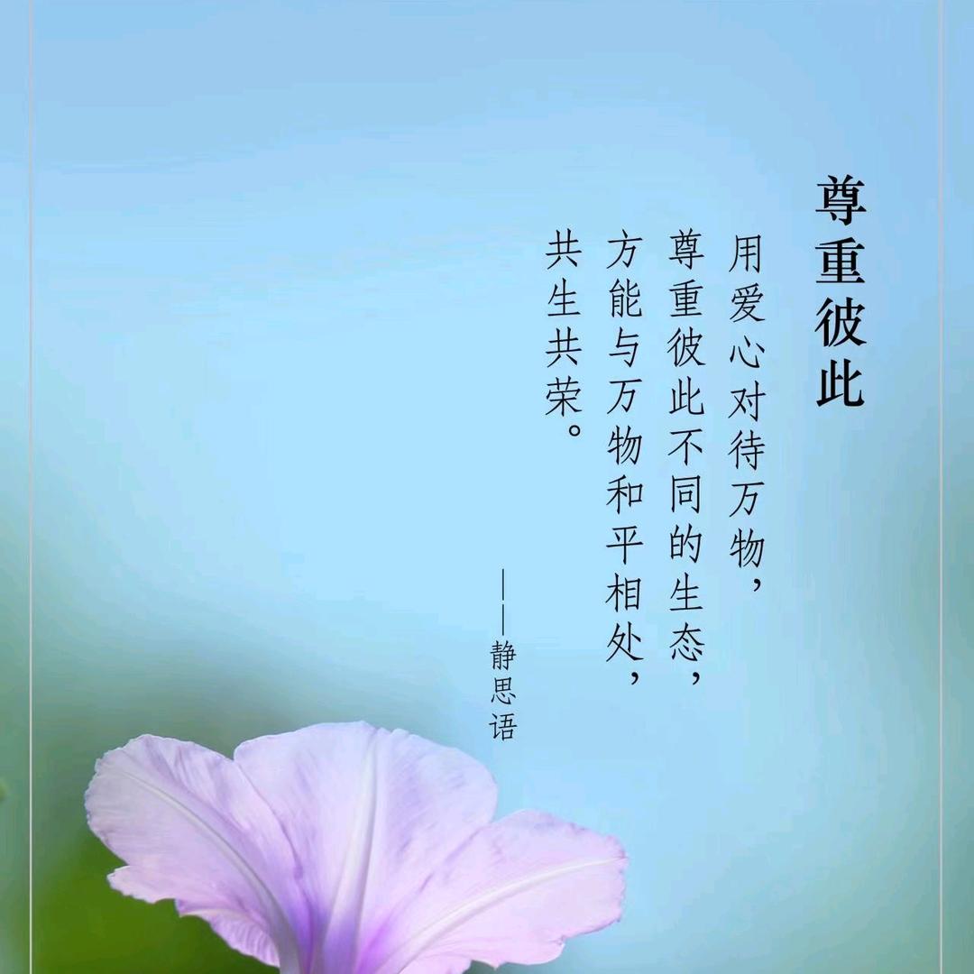 義宝