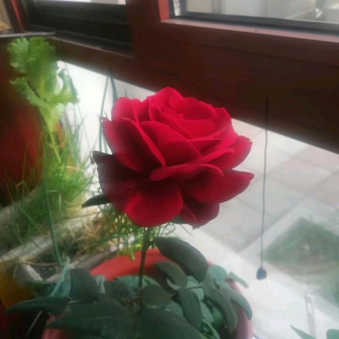 无言的结局