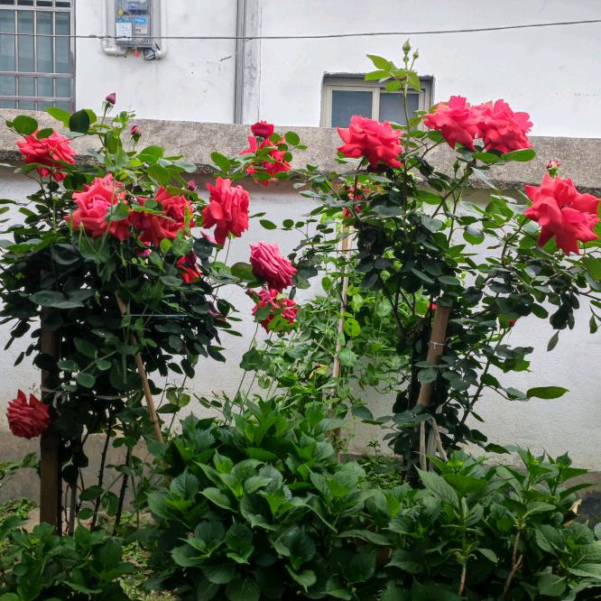 幸福未来